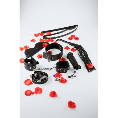 Mascondon BDSM BDSM Starter Kit