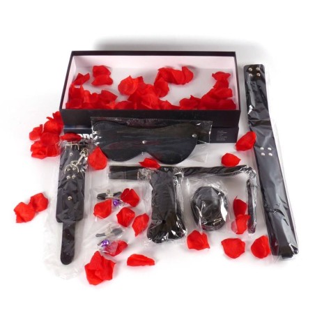 TOYJOY BDSM Starter Kit