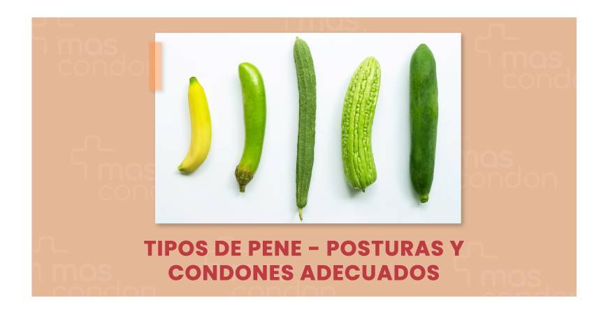Tipos de pene - Posturas y condones adecuados
